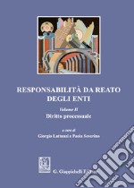 Responsabilità da reato degli enti. Vol. 2: Diritto processuale libro