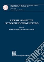 Recenti prospettive in tema di processo esecutivo libro