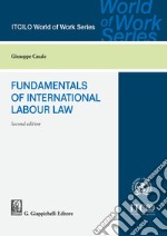 Fundamentals of international labour law libro