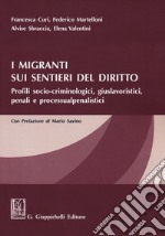 I migranti sui sentieri del diritto. Profili socio-criminologici, giuslavoristici, penali e processualpenalistici