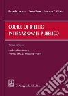 Codice di diritto internazionale pubblico libro