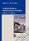 Introduzione al diritto penale europeo. Fonti, metodi, istituti, casi libro