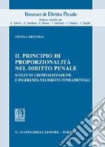 Il principio di proporzionalità nel diritto penale. Scelte di criminalizzazione e ingerenza nei diritti fondamentali libro