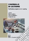 Controllo di gestione. Pianificazione, programmazione e reporting libro