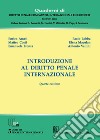 Introduzione al diritto penale internazionale libro