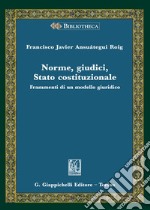 Norme, giudici, Stato costituzionale. Frammenti di un modello giuridico libro