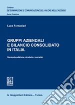 Gruppi aziendali e bilancio consolidato in Italia libro