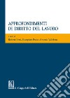 Approfondimenti di diritto del lavoro libro