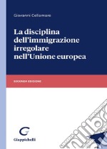 La disciplina dell'immigrazione irregolare nell'Unione europea libro