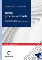 Diritto processuale civile. Vol. 4: Esecuzione forzata. Procedimenti sommari, cautelari e camerali libro