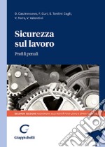 Sicurezza sul lavoro. Profili penali libro