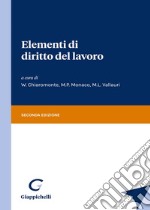 Elementi di diritto del lavoro libro