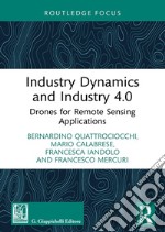 Industry dynamics and industry 4.0. Drones for remote sensing applications