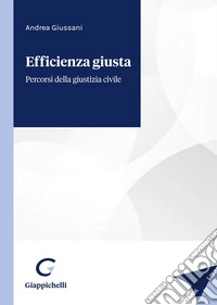 Efficienza giusta