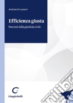 Efficienza giusta libro