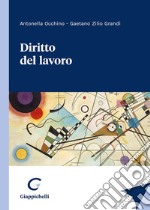 Diritto del lavoro libro usato