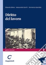 Diritto del lavoro libro