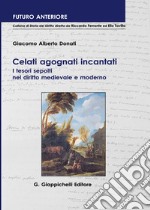 Celati agognati incantati. I tesori sepolti nel diritto medioevale e moderno libro