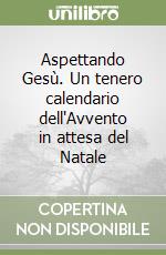 Aspettando Gesù. Un tenero calendario dell'Avvento in attesa del Natale libro