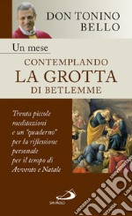 Un mese contemplando la grotta di Betlemme. Trenta piccole meditazioni e un quaderno per la riflessione personale per il tempo di Avvento e Natale libro