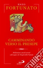 Camminando verso il presepe. Meditazioni e piccoli esercizi sulle pagine dei Vangeli della Natività libro