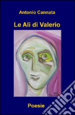 Le ali di Valerio