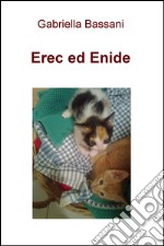 Erec ed Enide. '...todo cambia...' libro