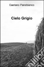 Cielo grigio libro