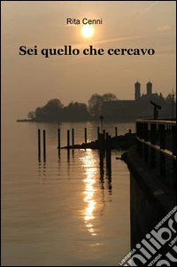 Sei quello che cercavo libro
