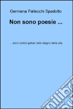 Non sono poesie... Sono ciottoli gettati nello stagno della vita