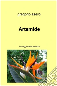 Artemide. Il miraggio della bellezza