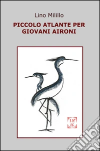 Piccolo atlante per giovani aironi libro
