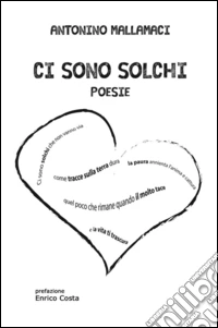 Ci sono solchi libro