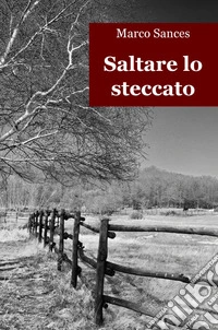 Saltare lo steccato libro