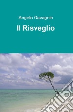 Il risveglio libro