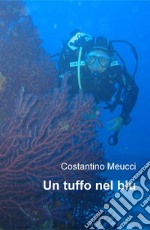 Un tuffo nel blu libro