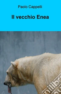 Il vecchio Enea