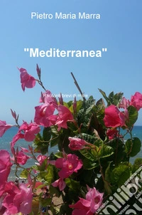«Mediterranea». Racconti brevi di mare libro