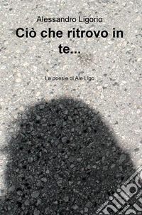 Ciò che ritrovo in te... libro