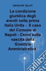 La condizione giuridica degli arenili nella prima Italia unita. Il caso del Comune di Napoli. Cenni sulla nascita della giustizia amministrativa libro