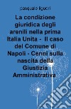 La condizione giuridica degli arenili nella prima Italia unita. Il caso del Comune di Napoli. Cenni sulla nascita della giustizia amministrativa libro