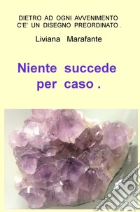 Niente succede per caso... Dietro a ogni avvenimento c'è un disegno preordinato libro