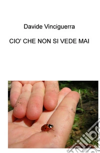 Ciò che non si vede mai libro