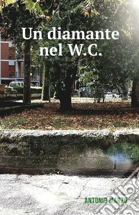 Un diamante nel W.C. libro