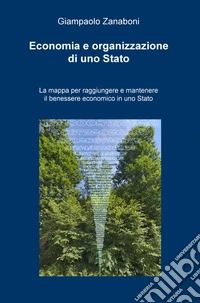Economia e organizzazione di uno Stato. La mappa per raggiungere e mantenere il benessere economico in uno Stato libro