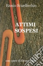 Attimi sospesi libro