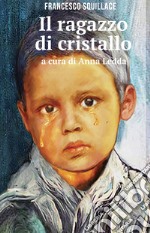 Il ragazzo di cristallo libro