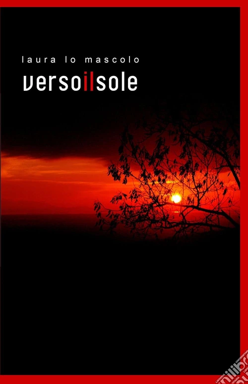 Verso il sole