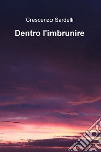 Dentro l'imbrunire libro