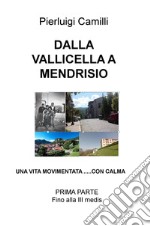 Dalla Vallicella a Mendrisio. Una vita movimentata... con calma libro